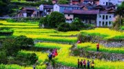 [旅游资讯]韩媒：济州岛时隔8个月将再迎来中国旅游团